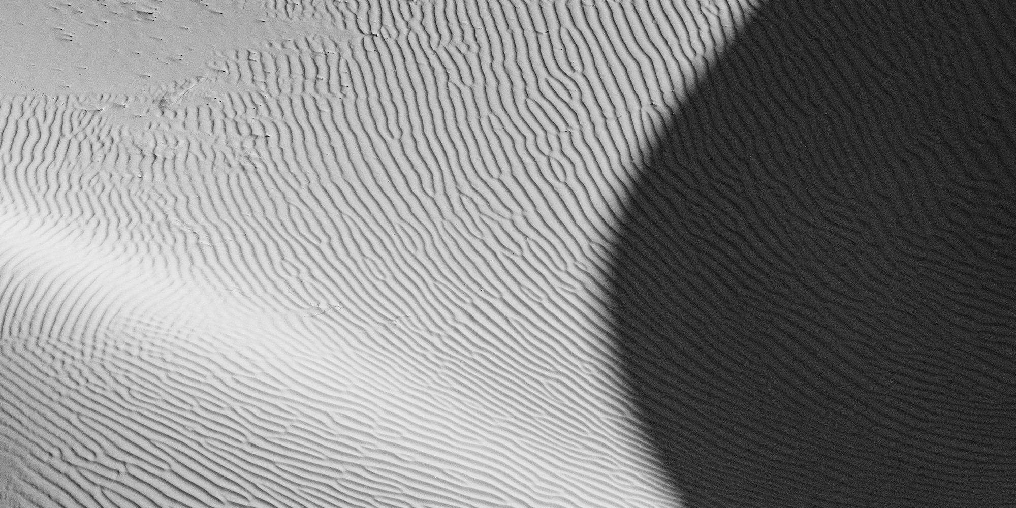 Wind ripples across a sand dune, half in shadow