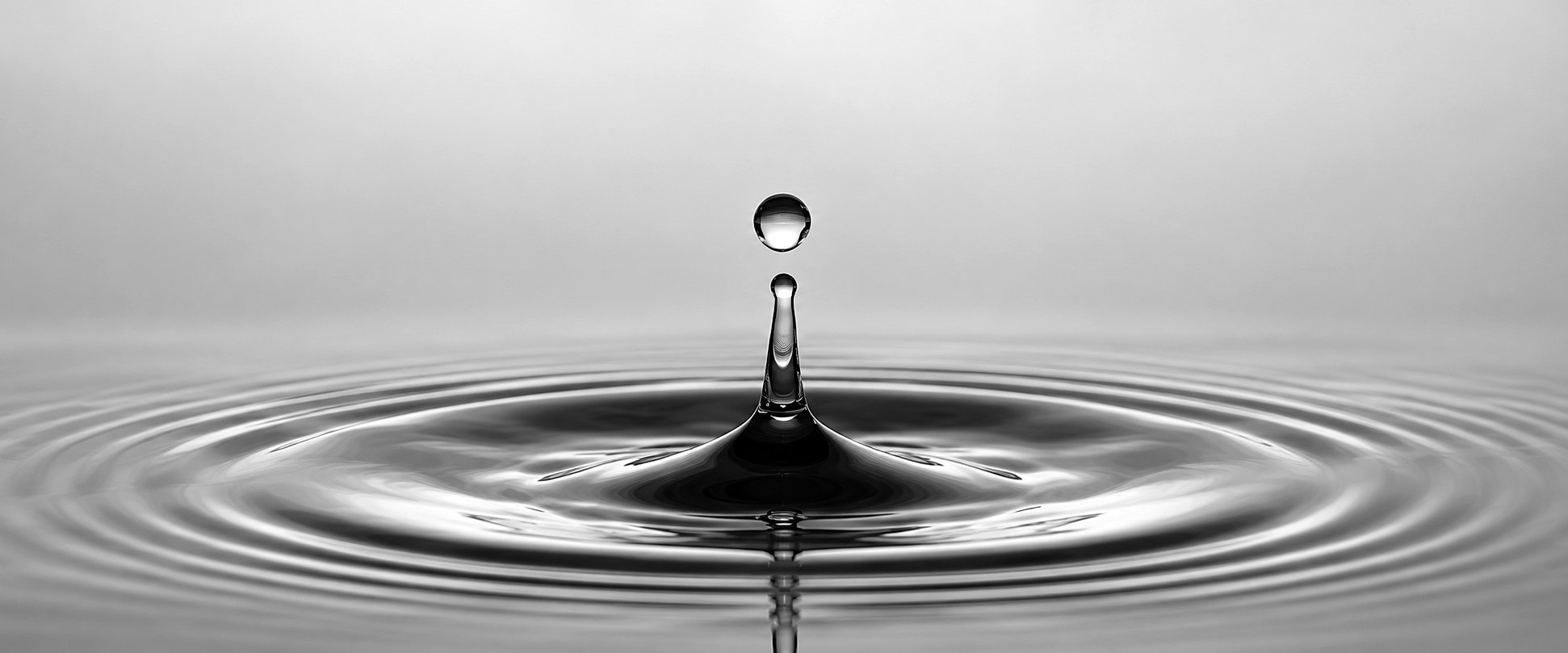 A single drop falling into still water, ripples spreading