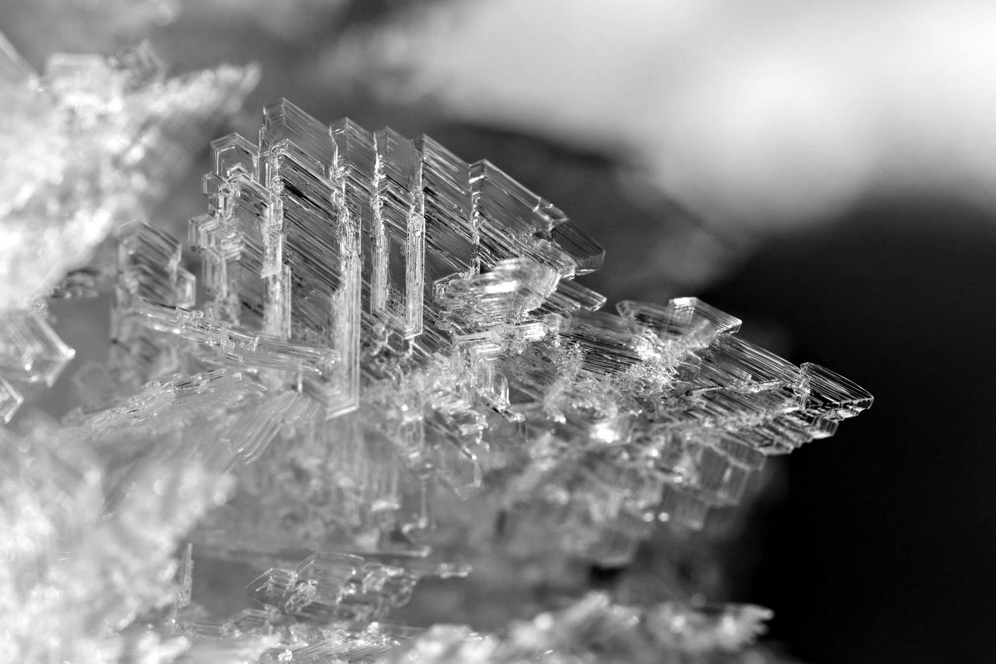 Ice crystals, frozen in place